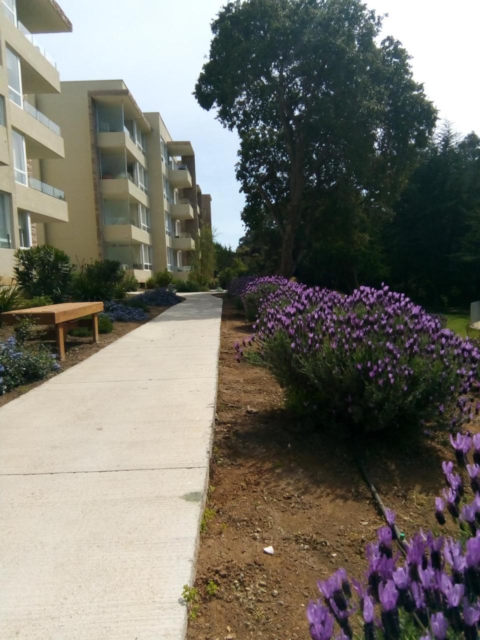 Departamento En Papudo Daire Dış mekan fotoğraf