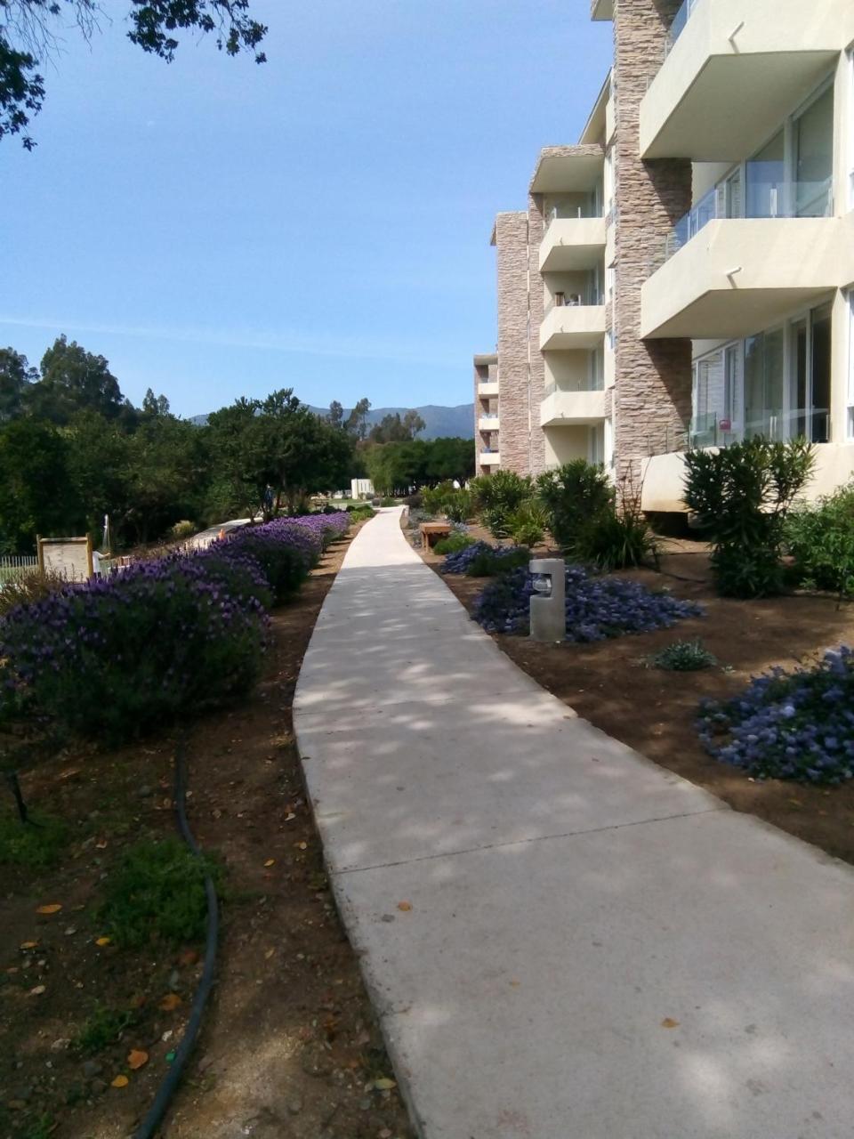 Departamento En Papudo Daire Dış mekan fotoğraf